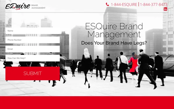 img of B2B Digital Marketing Agency - ESQuire Brand Management